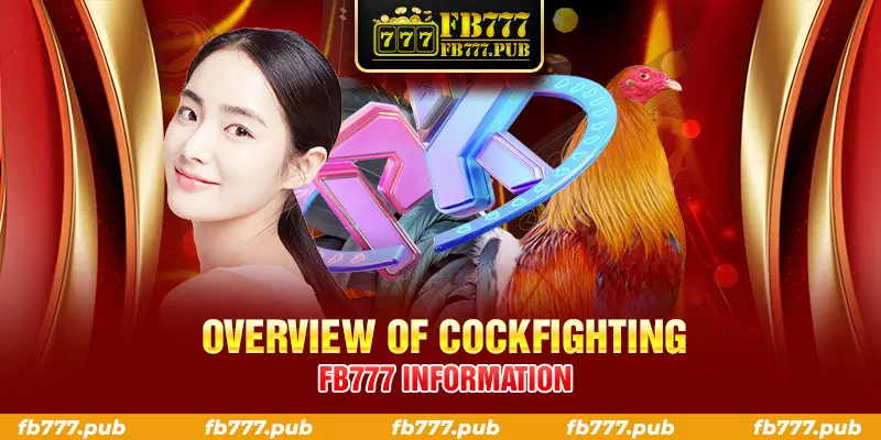 overview of cockfighting fb777 information