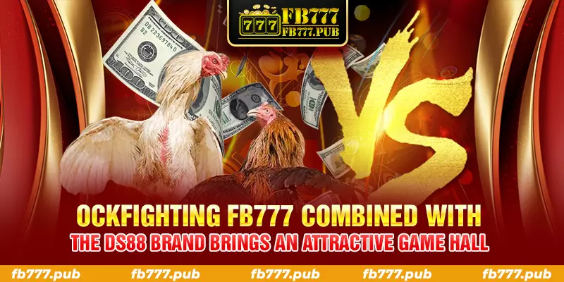 cockfighting fb777 combined with the ds88 brand brings an attractive game hall